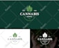 create an amazing minimalist logo