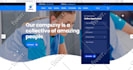 be your wordpress virtual assistant for post, edit, upload, update, maintenance