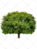 do background removal, clipping path white, transparent png