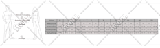 design unique size charts or size guides
