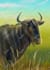 make digital art of animals and flowers for you