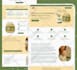 build modern wordpress website design