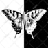 create super artistic line art illustration for 24 hour
