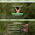build wordpress website design, redesign, custom, wordpress website development