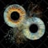 turn your eyes into art