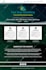create professional wordpress website