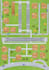 create detailed map illustration