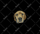 convert your pet picture or any image into embroidery file
