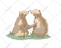 draw cute animal character illustrations