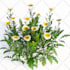 do 3d tree, flower and plant modeling