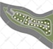 render site plan ,masterplan, landscape plan for real estate