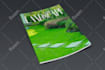 design a premium product catalogue, magazine layout, or brochure