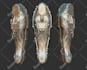 sculpt 3d printing stl file dnd fantasy miniatures character