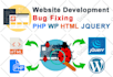 website development bug fixing enhancement work PHP wordpress html jquery ajax