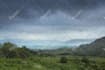 create rain video with natural sound in a cozy room