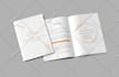 create professional presentations, brochures and marketing collateral
