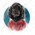 draw pet portrait illustration watercolor style