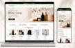 build shopify store or dropshipping ecommerce store, shopify website