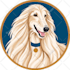 draw your pet or animal to realistic vector