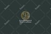 do 2 premium modern minimalist custom logo design for your business