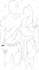 draw vector line art illustration, line drawing, outline