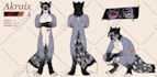 draw you a character reference sheet