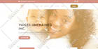 provide premium wordpress website design and development services