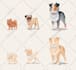create adorable animal illustrations