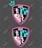 convert your jpeg image into vector
