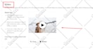 rank etsy listing with etsy seo title and tags