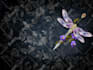 do illustrations and high quality digital art