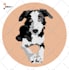 create for rug maker, pet drawing, people portrait