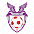create professional modern football and soccer badge logo