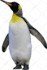 resize bulk images retouch and background removal