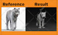 make 3d animal model with realistic fur, xgen hair and texture
