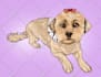 make a cartoon of your pet