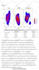 do bioinformatics, ngs, rnaseq and transcriptome analysis