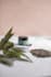do realistic product mockups or packaging design
