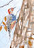 draw cute birds in watercolors