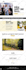migrate shopify store to wordpress and wordpress to shopify