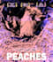 design pet posters for you
