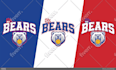 create logo for your baseball softball team and other sports