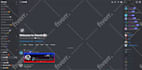 create fivem discord server, discord nft server, custom bots