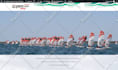 build a responsive wordpress website, landing page, newspaper, blog site