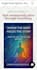 create a professional wix website design or wix ecommerce store