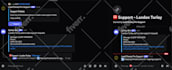 build you your own custom discord bot