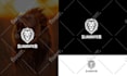 design a professional minimalist logo for your creative brand identity
