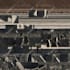 process drone images with photogrammetry and help with all related aspects