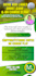 design professional flyer and postcard custom print ready