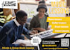 design clean and professional flyer just in 24 hrs